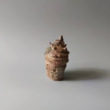 画像をギャラリービューアに読み込む, 貝蓋物