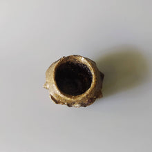 画像をギャラリービューアに読み込む, 荒土酒呑