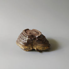 画像をギャラリービューアに読み込む, 荒土酒器