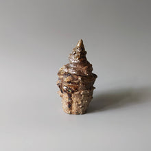 画像をギャラリービューアに読み込む, 貝蓋物