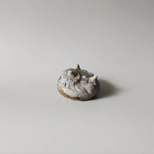 画像をギャラリービューアに読み込む, 引出し黒貝酒呑