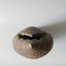 画像をギャラリービューアに読み込む, 花入