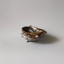 画像をギャラリービューアに読み込む, 引出し黒貝酒器