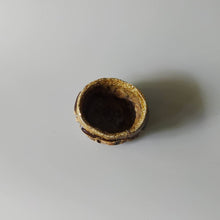 画像をギャラリービューアに読み込む, 荒土酒呑