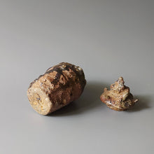 画像をギャラリービューアに読み込む, 貝蓋物