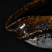 画像をギャラリービューアに読み込む, 引出し黒鉢