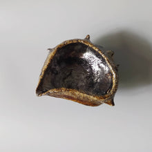 画像をギャラリービューアに読み込む, 引出し黒貝酒器