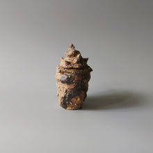 画像をギャラリービューアに読み込む, 貝蓋物