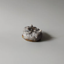 画像をギャラリービューアに読み込む, 引き出し黒貝酒呑