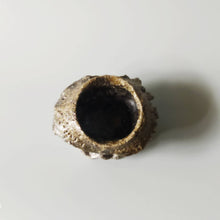 画像をギャラリービューアに読み込む, 引出し黒酒呑